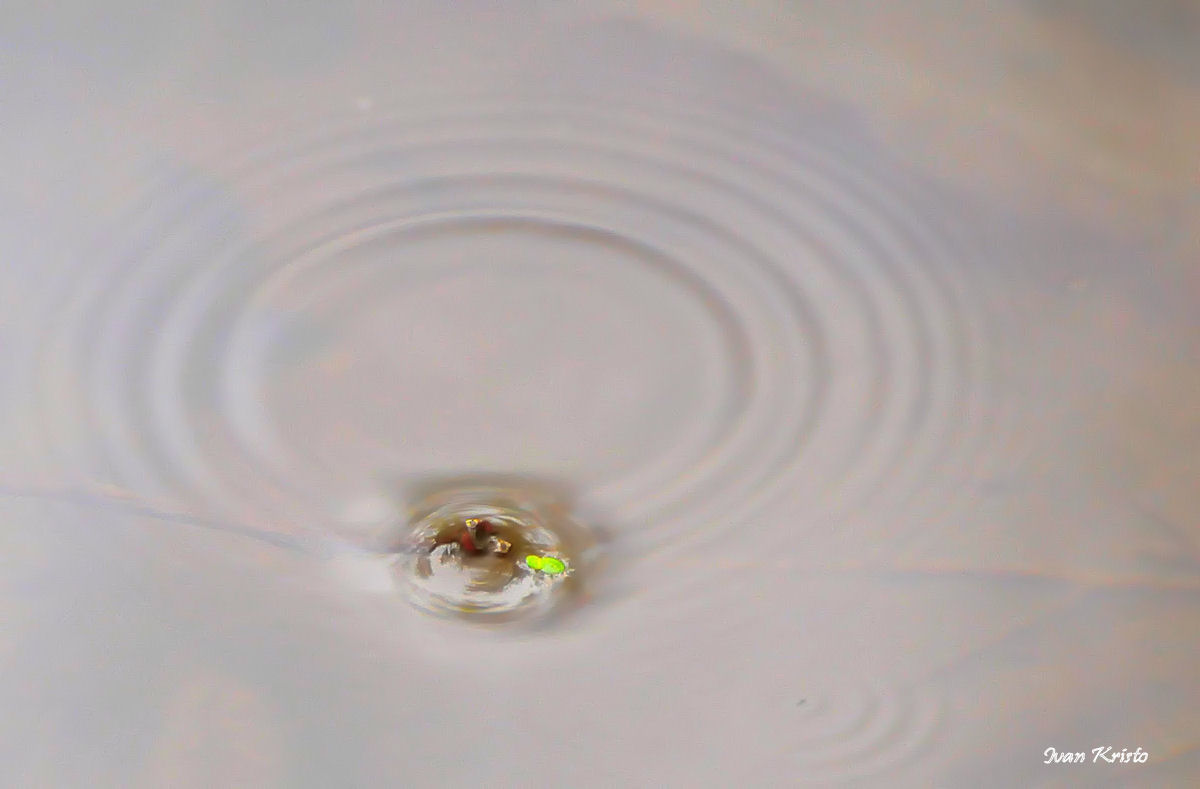 Farbe in Wasser