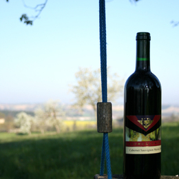 weinschaukel