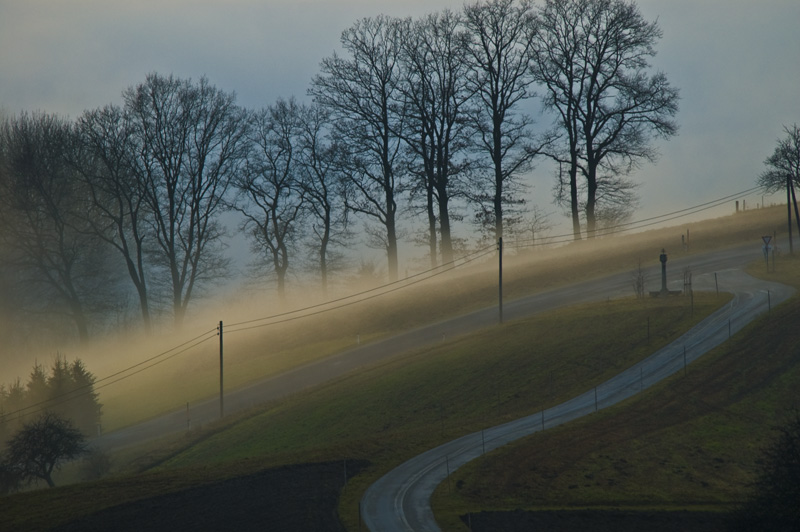Nebellandschaft