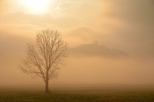 Nebel