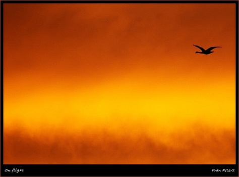 On flight