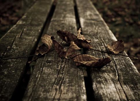Herbst2