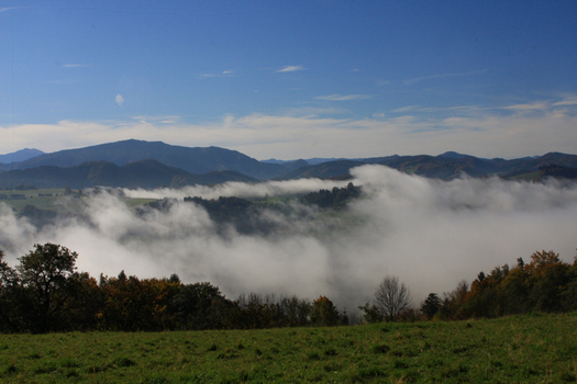 Herbstnebel im Mostviertel