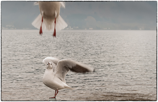 Wo willst du denn hin ?