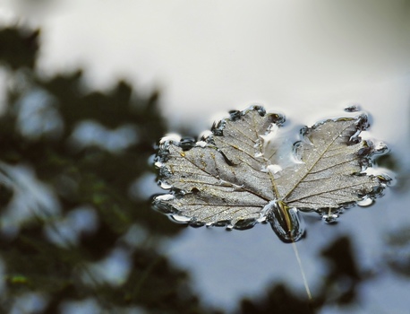 Sommer?