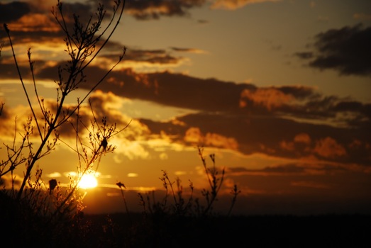 frühlingssonnenuntergang