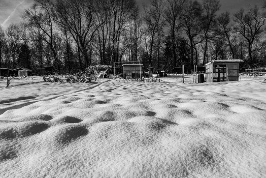 Winter im Schrebergarten