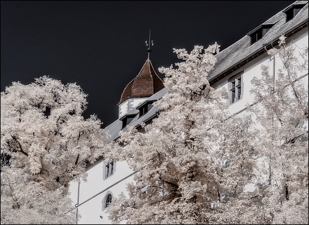 Detail Schloss Haigerloch