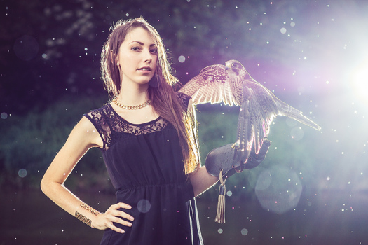 the Hawk, Part One.