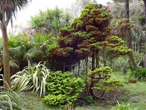 Botanischer Garten