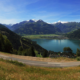 Zell