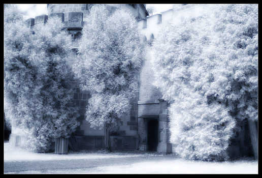 in blau