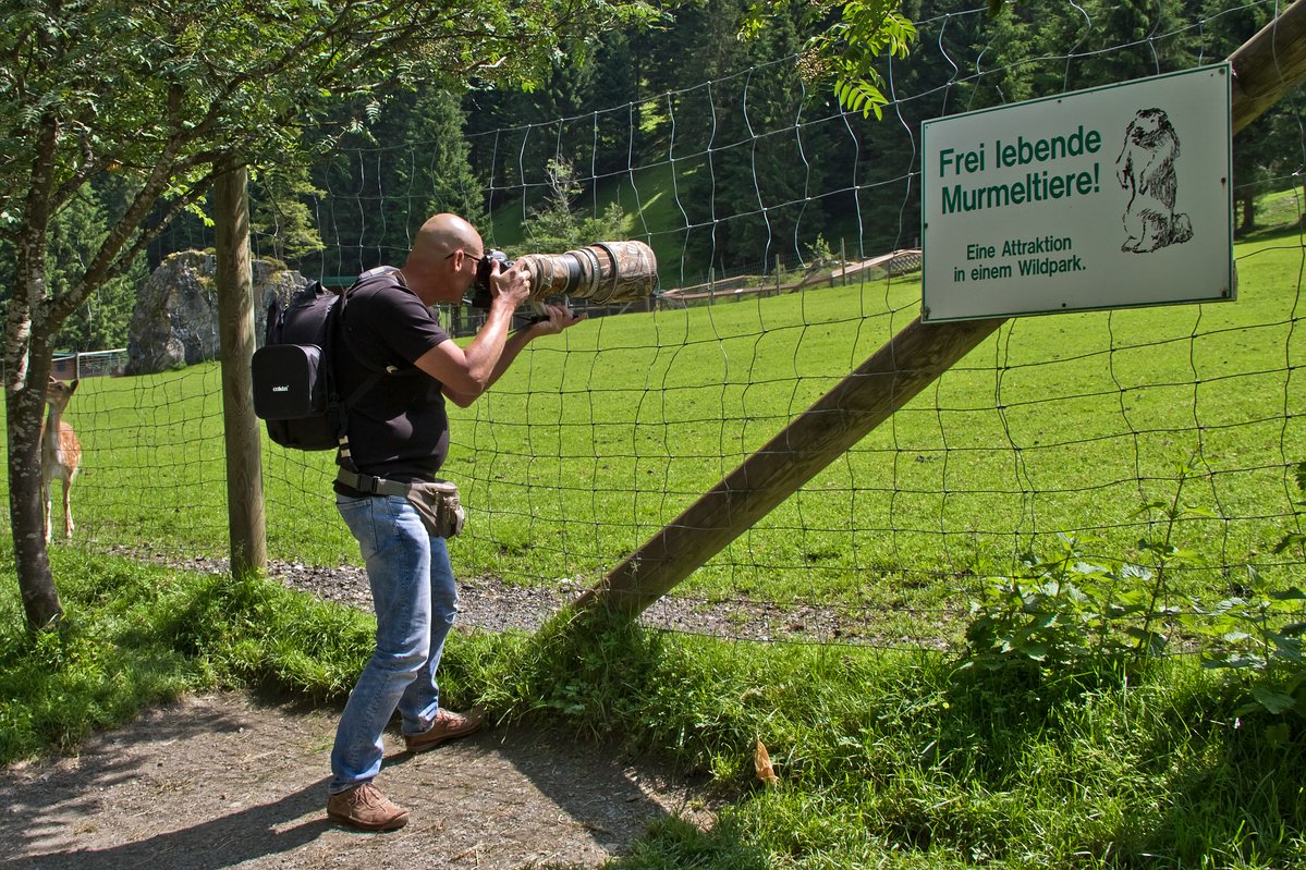 Zaunstativ