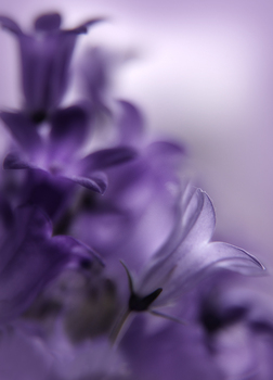 Secrets....