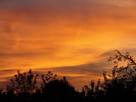 sky