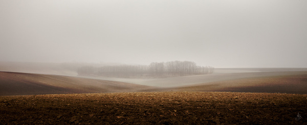 Mysty Fog
