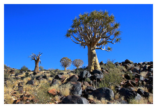 Namibia 2