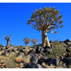 Namibia 2