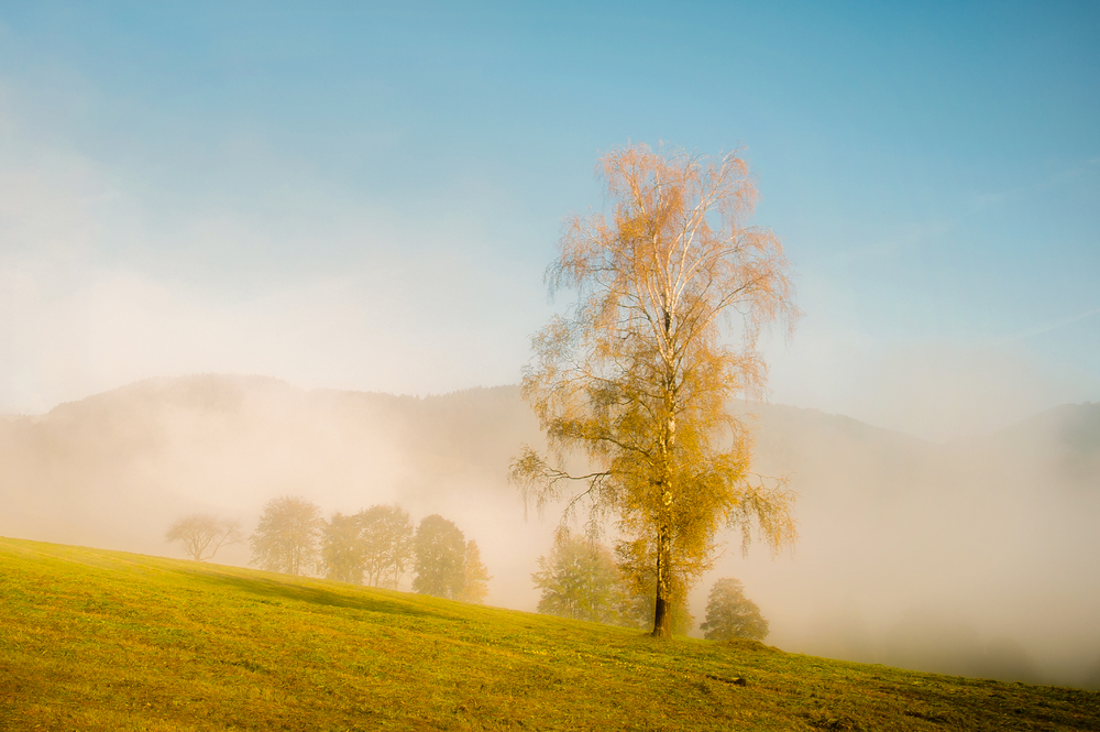 September Morning