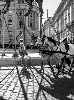 flying horse