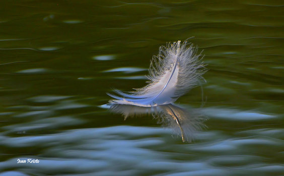 Fast ruhige Wasser