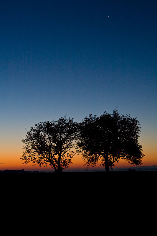 Morgenstimmung