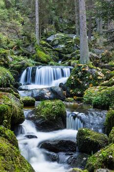 Lohnbachfall im Herbst