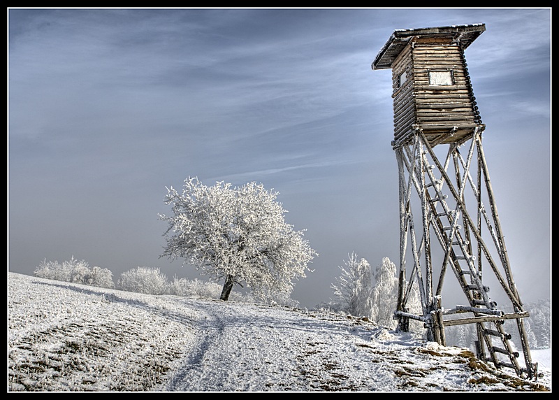 Hochstand