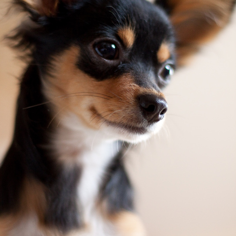 so cute