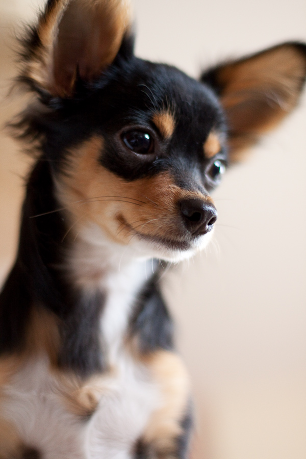 so cute