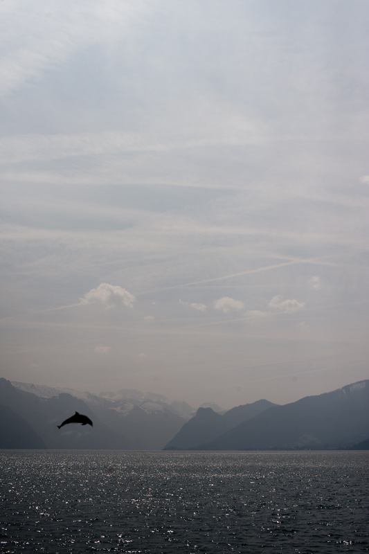 in gmunden gehts ab
