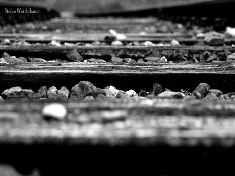 Rail