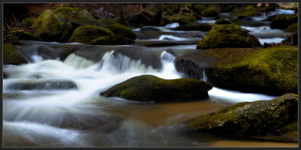 im Waldviertel