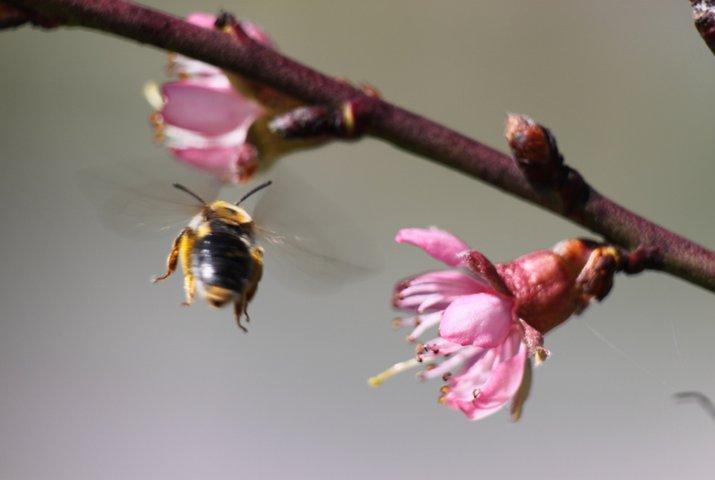 Abflug