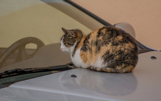 Schön warm