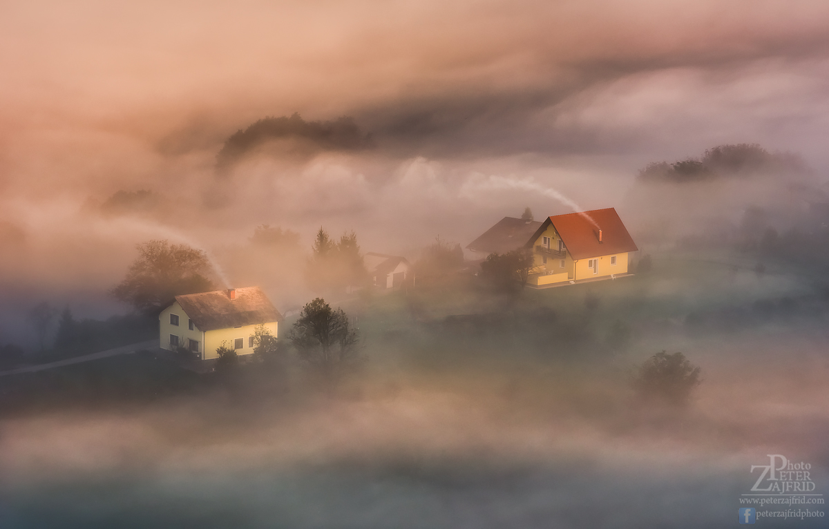 In the fog