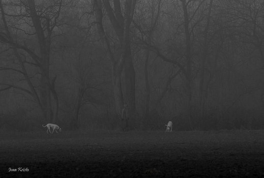 Kein angst im Nebel