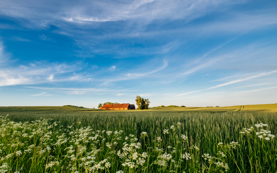 Die kleine Farm