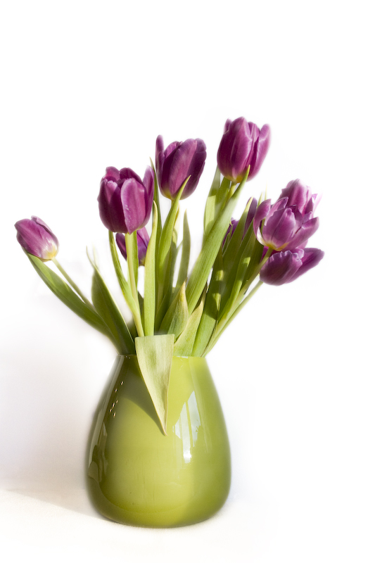 Tulpen