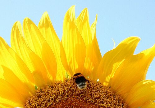 ... im sommer ...