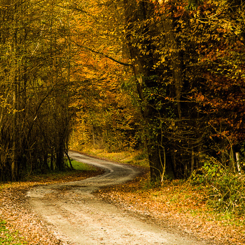 Herbstweg
