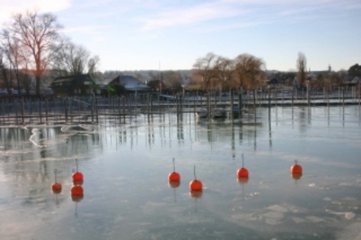 Hafen im Winter