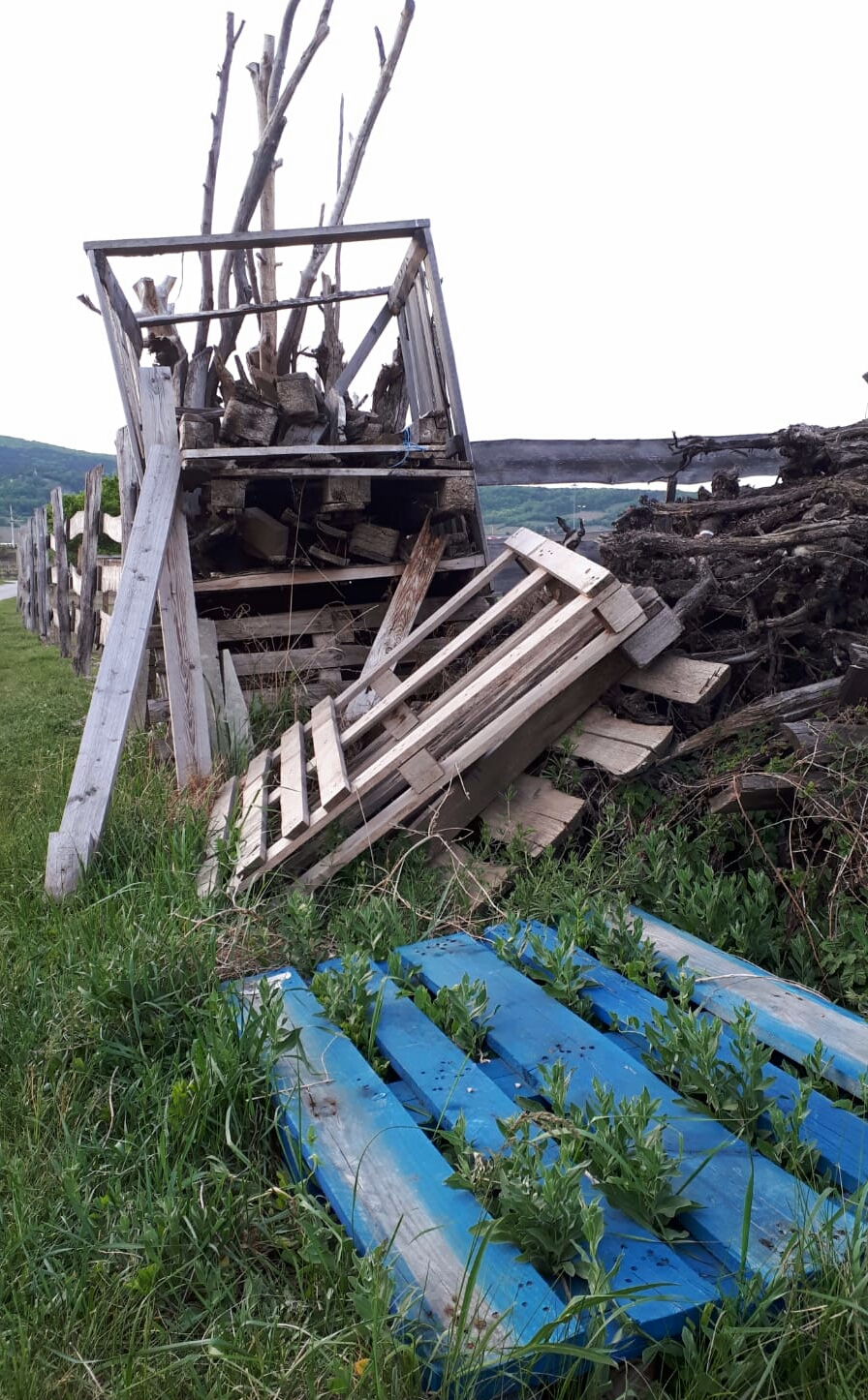 Holz Stilleben