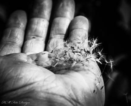 Hand of nature