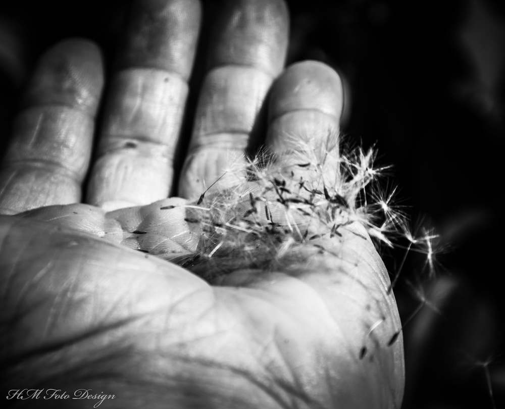 Hand of nature