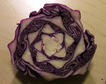 des rätsels lösung
