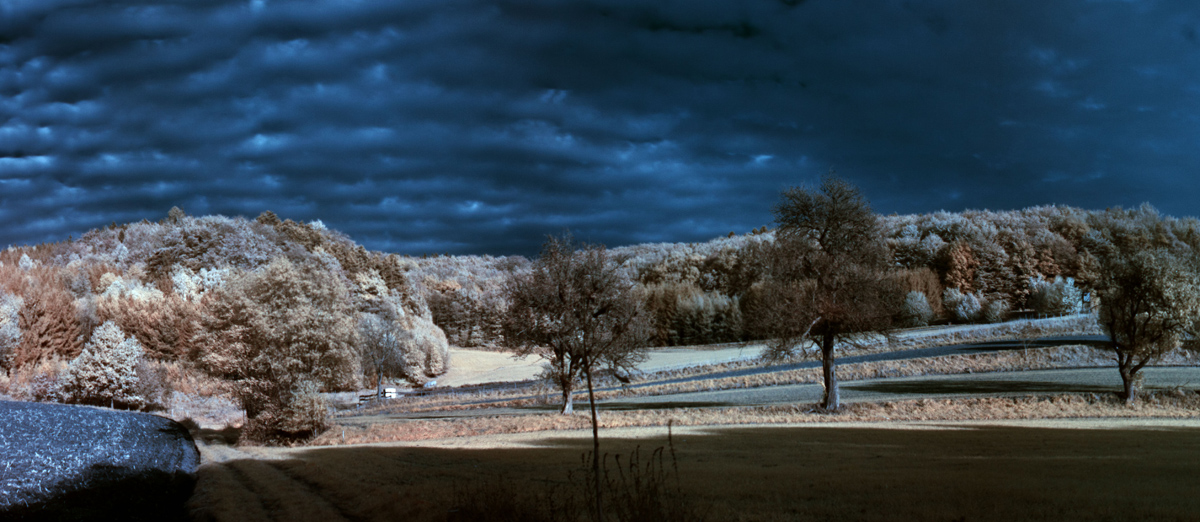 IR-Herbst