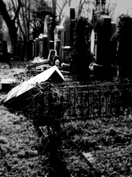 Zentralfriedhof 4