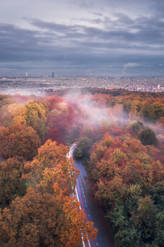 Autumn. Vienna. Wienerwald.