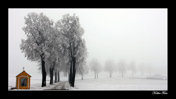 Foggy alley